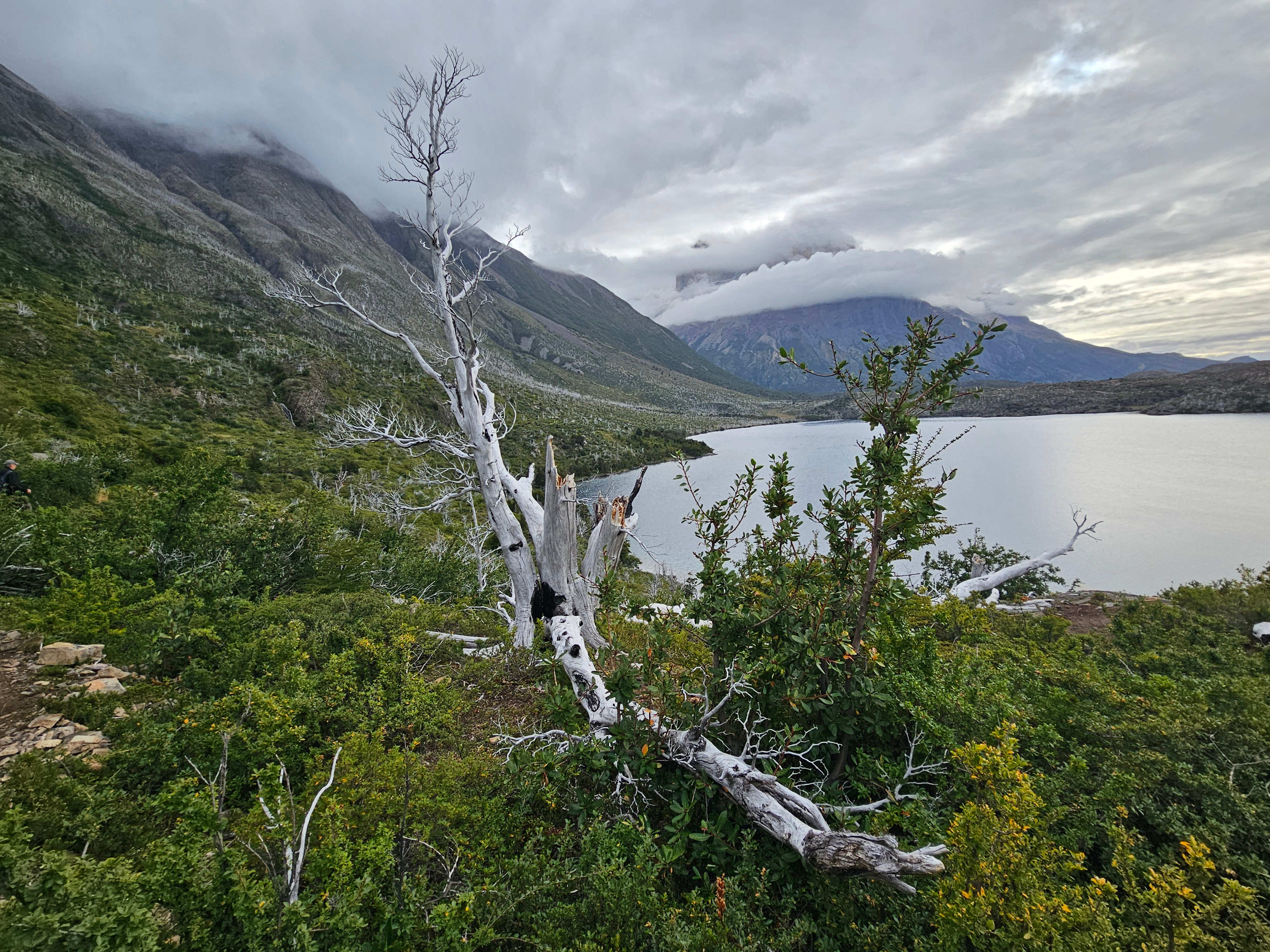 Torres del Paine